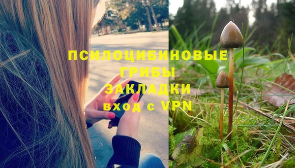 а пвп мука Покров