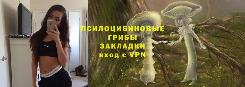 Псилоцибиновые грибы Magic Shrooms  Богородск 