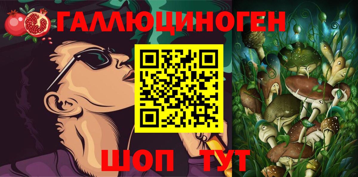 Псилоцибиновые грибы Cubensis Богородск