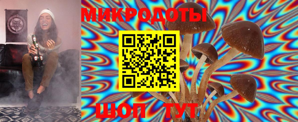 Галлюциногенные грибы MAGIC MUSHROOMS  Псилоцибиновые грибы ЛСД  где купить наркотик  Богородск  Вход с VPN 