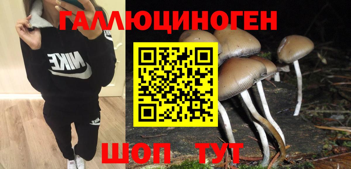 Псилоцибиновые грибы мухоморы  Богородск  сколько стоит  Галлюциногенные грибы мицелий 